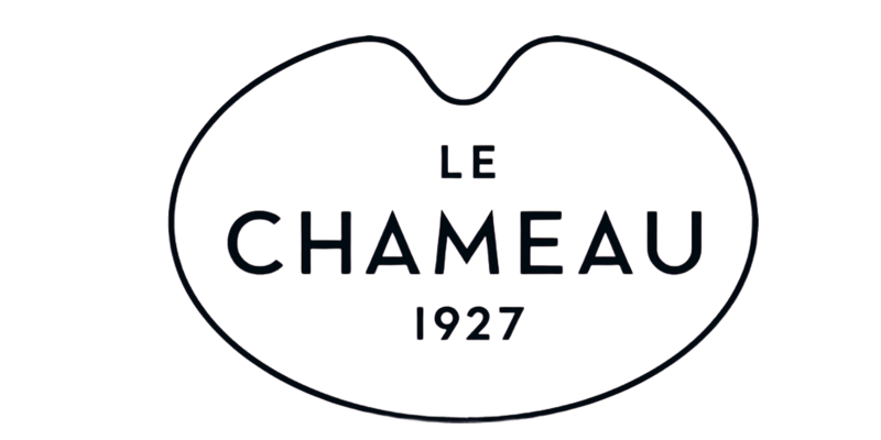 le chameau kopie